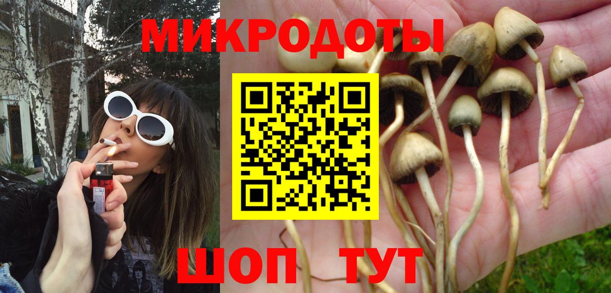 Псилоцибиновые грибы GOLDEN TEACHER Губкинский
